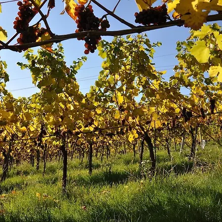 Weingut Koegl Ratsch an der Weinstraße