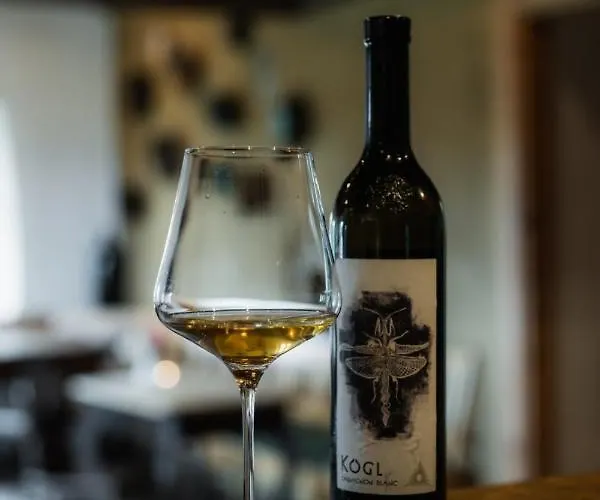 Weingut Koegl 住宿加早餐酒店 Ratsch an der Weinstraße