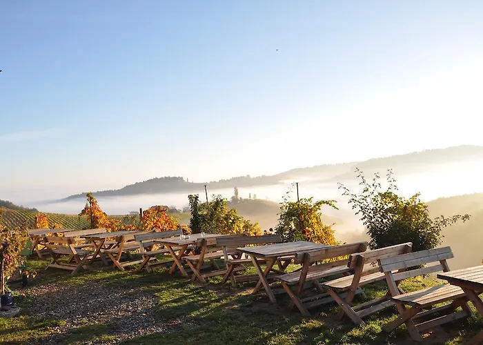 Weingut Koegl 住宿加早餐酒店 3*