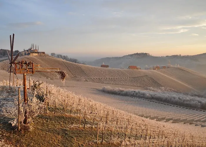 Weingut Koegl Ratsch an der Weinstraße